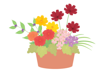 花の寄せ植え教室