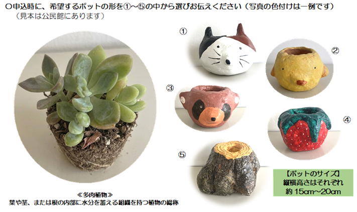 多肉植物の育て方教室(まなびネット用)